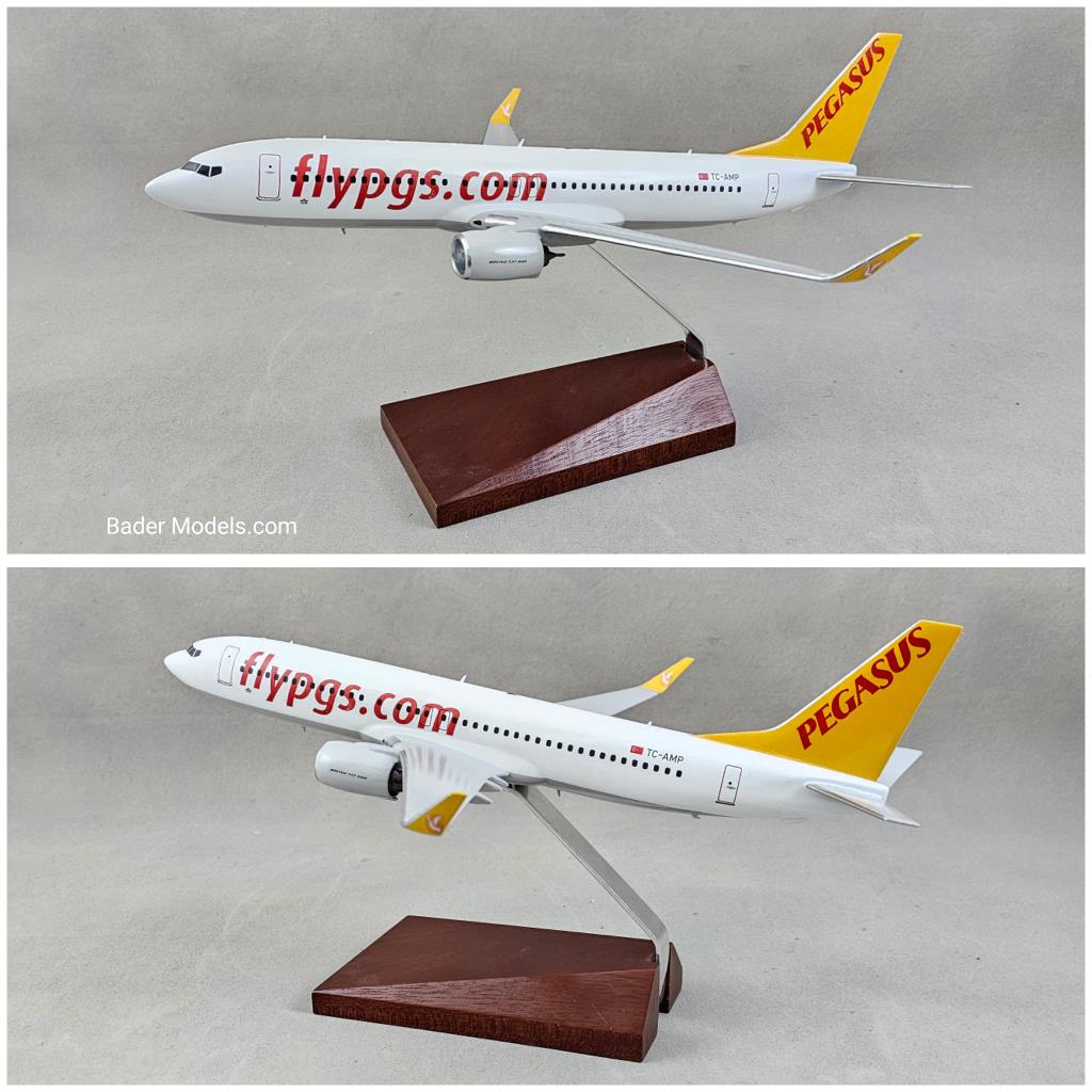 Pegasus - B737-800 - (1:100)